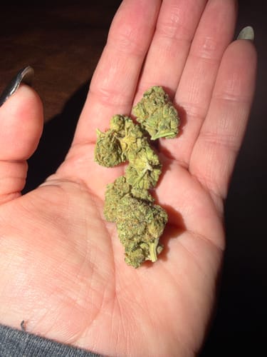 Customer photo review of Gelato