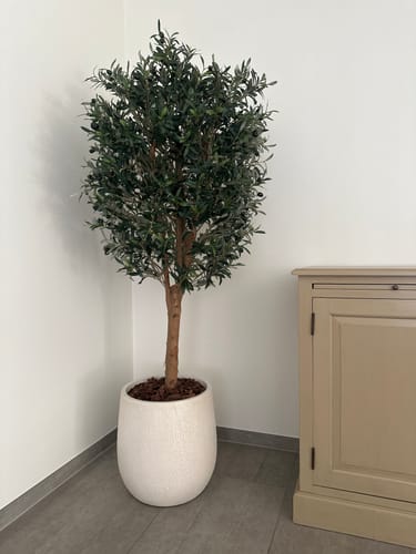 Customer photo review of Kunst Olijfboom 160cm Deluxe