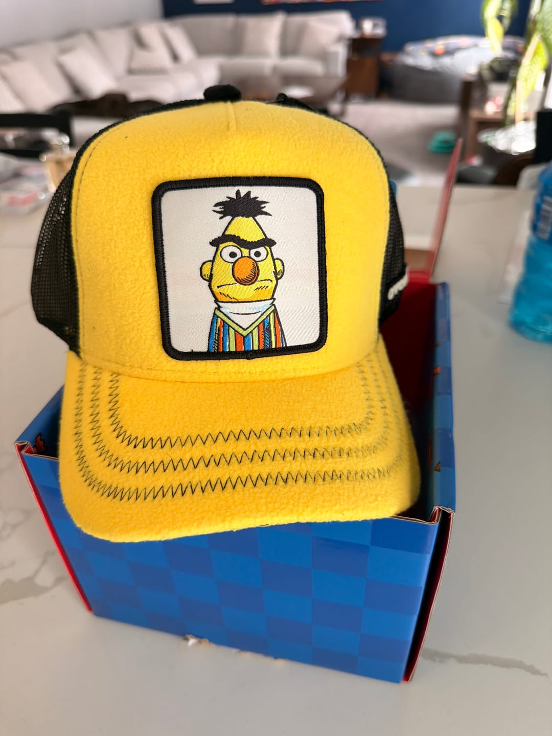Customer photo review of OVERLORD X Sesame Street: Bert