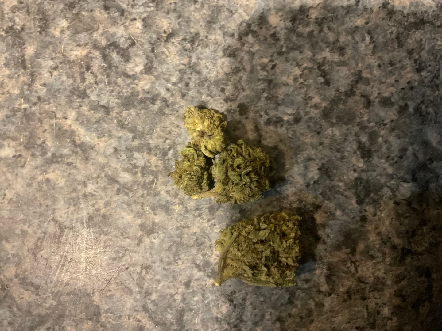 Customer photo review of Lemon Haze Indoor THCA Trim