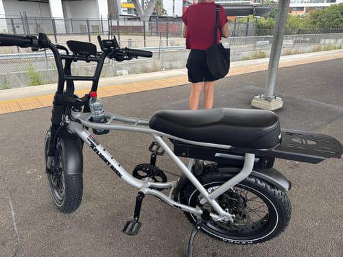 Customer photo review of FR505 - Silver