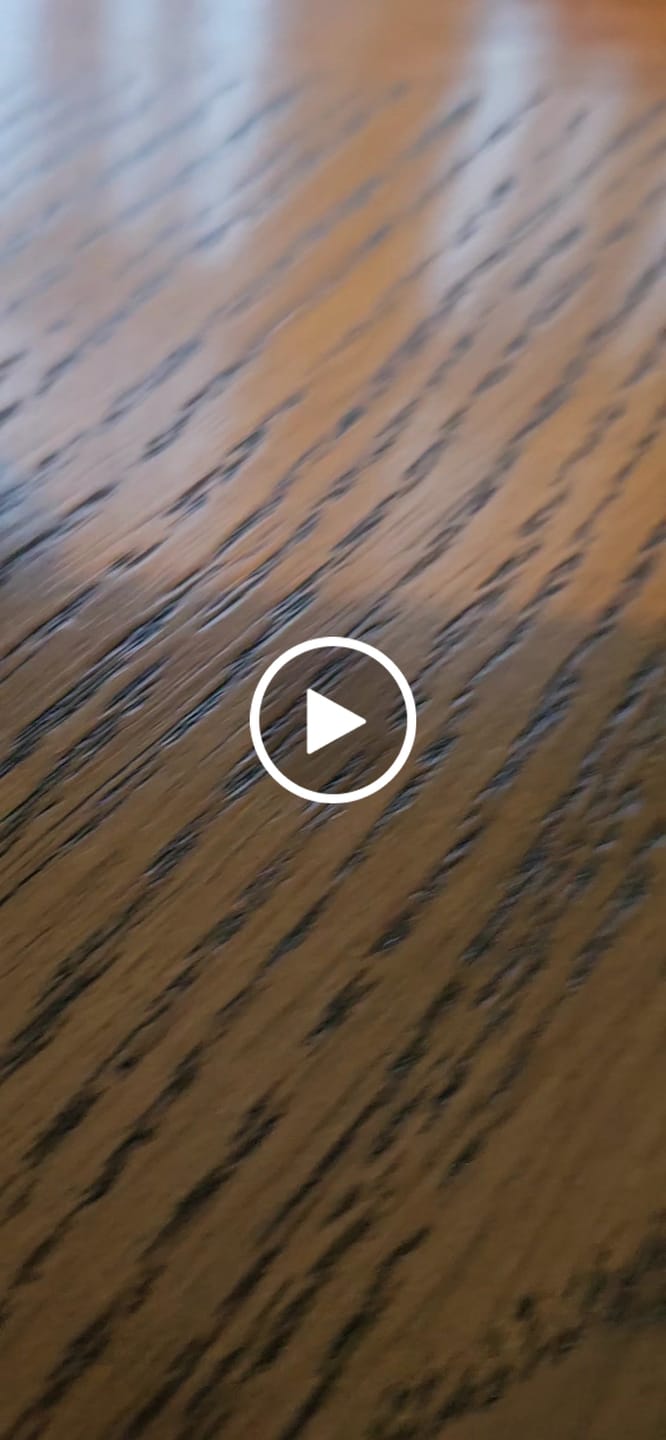 Customer video review of Dog ID Tag - Black (With Gift Box)