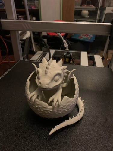 Customer photo review of Anycubic Kobra 3 Max Combo