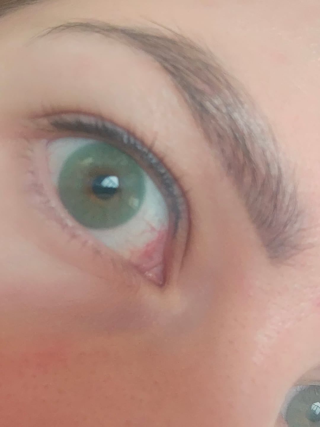 Customer photo review of Cloud Green