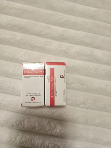 Customer photo review of Testosterona Enantato Rotterdam Pharmaceutical