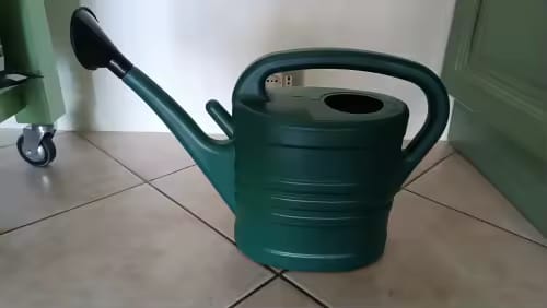 Customer photo review of Garden Watering Can 1.3 Gallon – Long Spout & Sprinkler Head