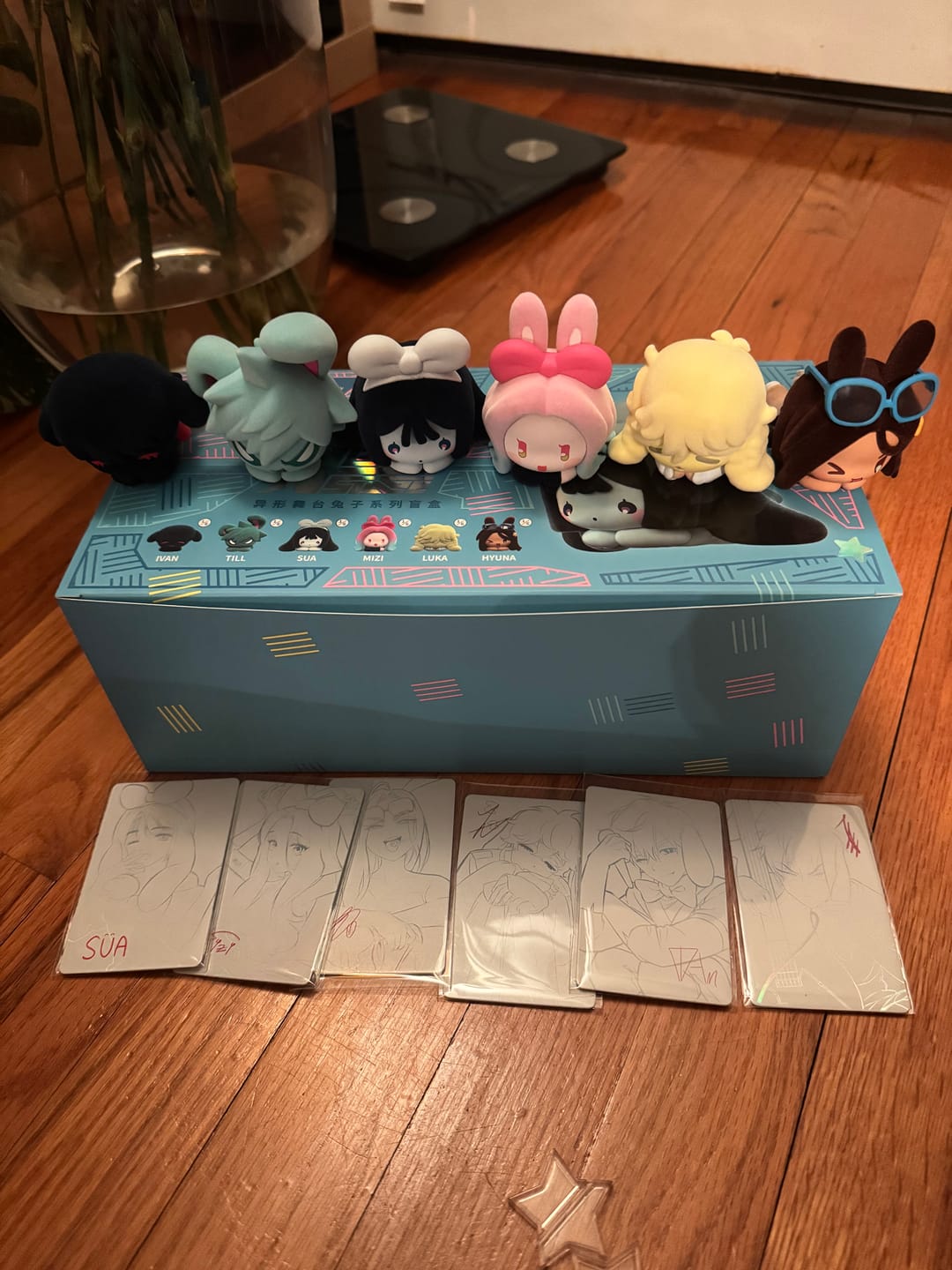 Customer photo review of Alien Stage Rabbit Series Blind Box