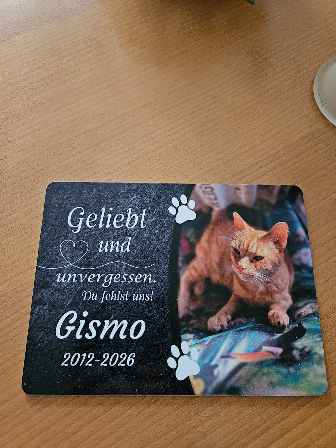Customer photo review of Katzen Gedenktafel mit Foto & Spruch (UV- & Wetterfest)
