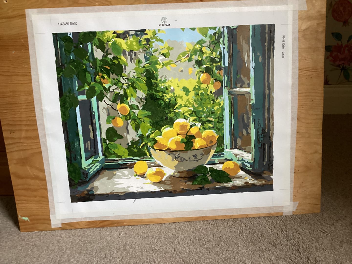 Customer photo review of Lemon Bowl at the Window | Paint by Number