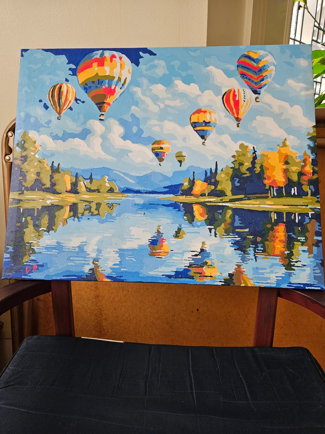 Customer photo review of Hot Air Balloon Showcase