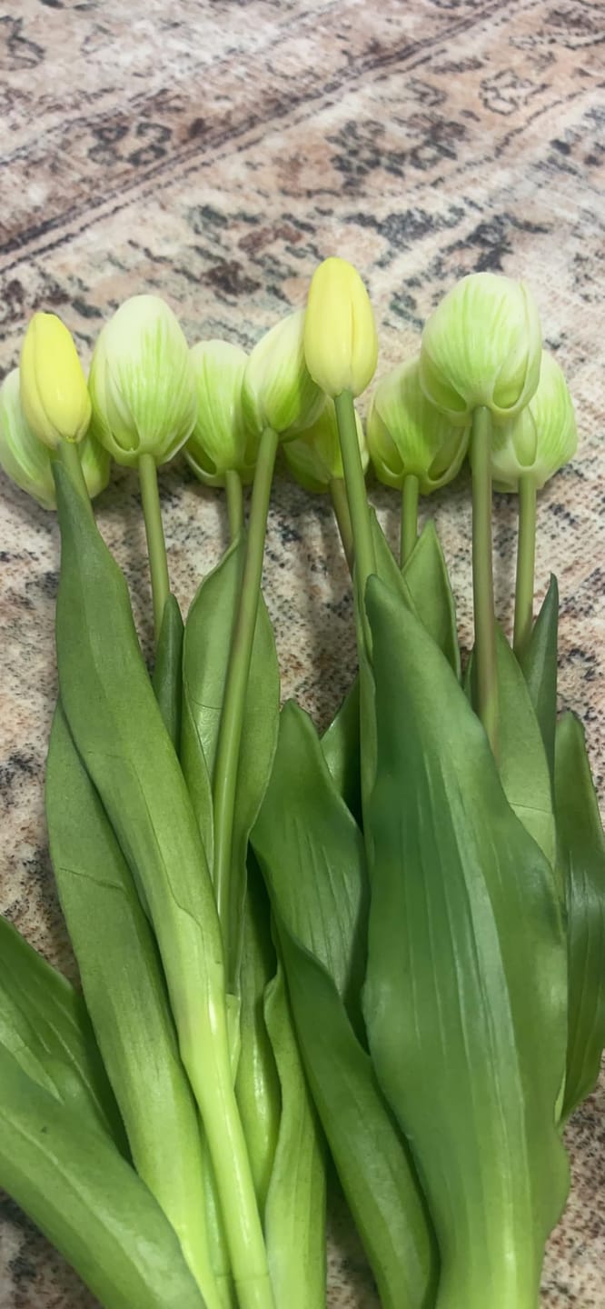 Customer photo review of 5-Piece Bundle Artificial Tulips – Realistic Faux Flowers