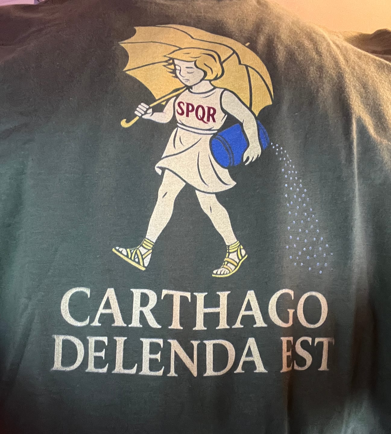 Customer photo review of Carthago Delenda Est Morton's Salt Parody Logo Unisex T-Shirt