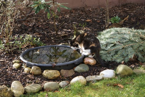 Customer photo review of Abflussreiniger