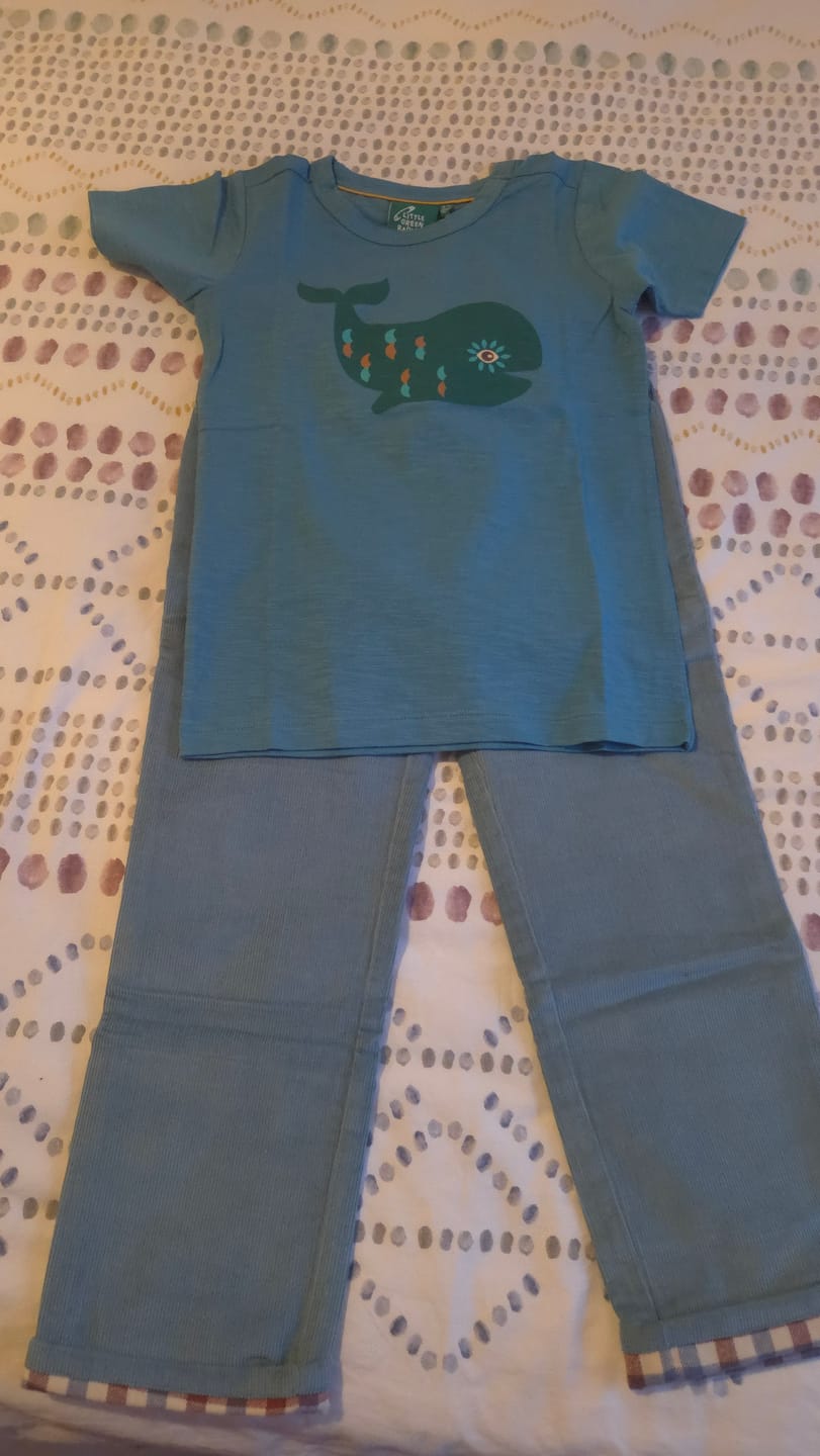 Customer photo review of Blue Whale Short Sleeve T Shirt