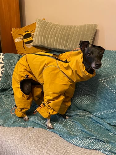 Customer photo review of ThermaLuxe - Fleece-Lined Trouser Suit Coat