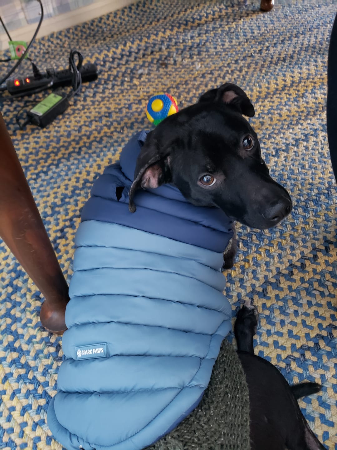 Customer photo review of PuffShield Winter Jacket - Blue