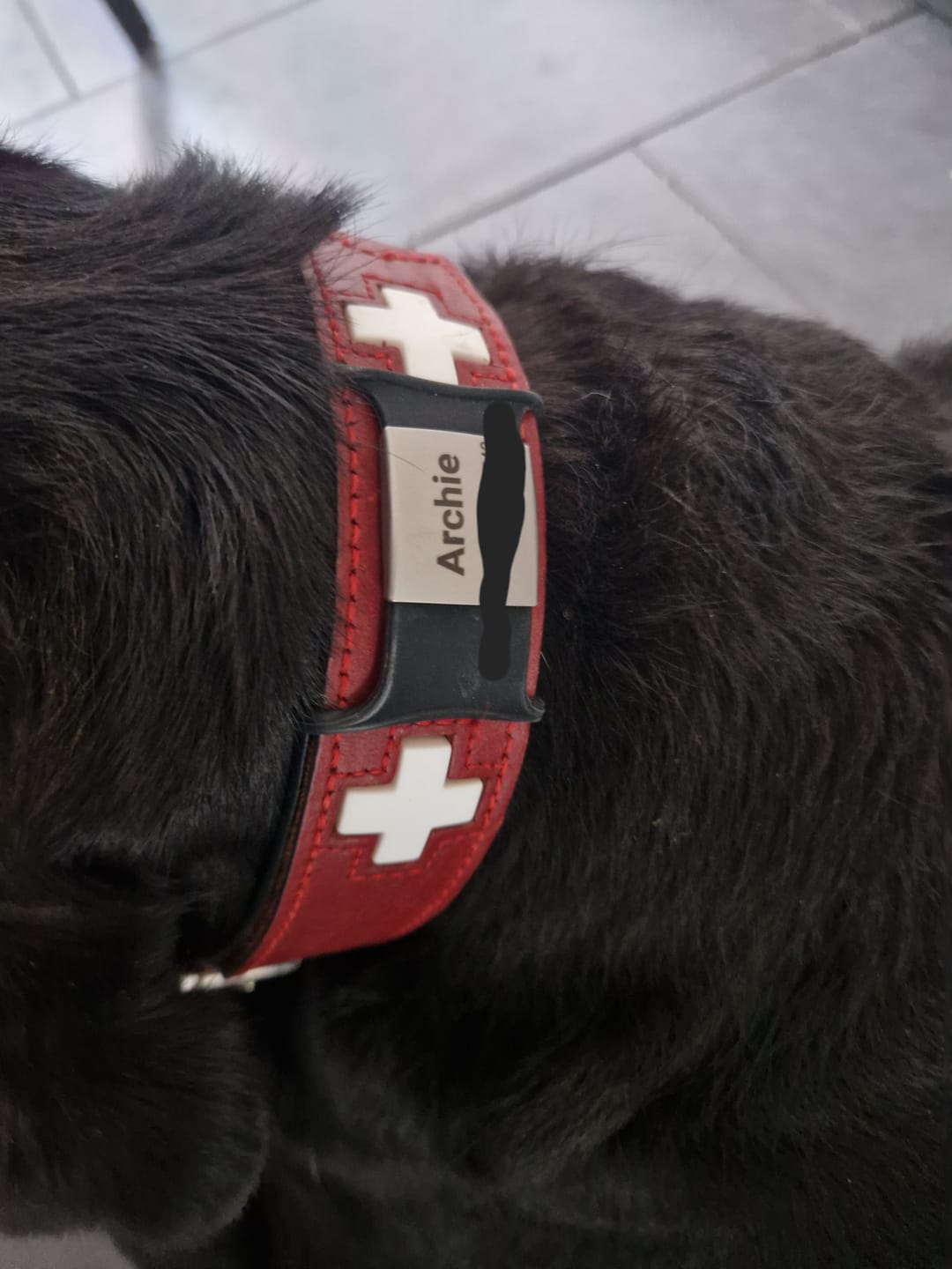 Customer photo review of Klapperfreie Hundemarke Silikonslider mit Edelstahl-Schild für Halsbänder inkl. GRATIS Gravur