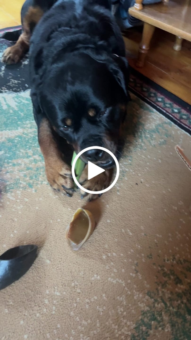Customer video review of Himalayan Yak Chew (MEGA)