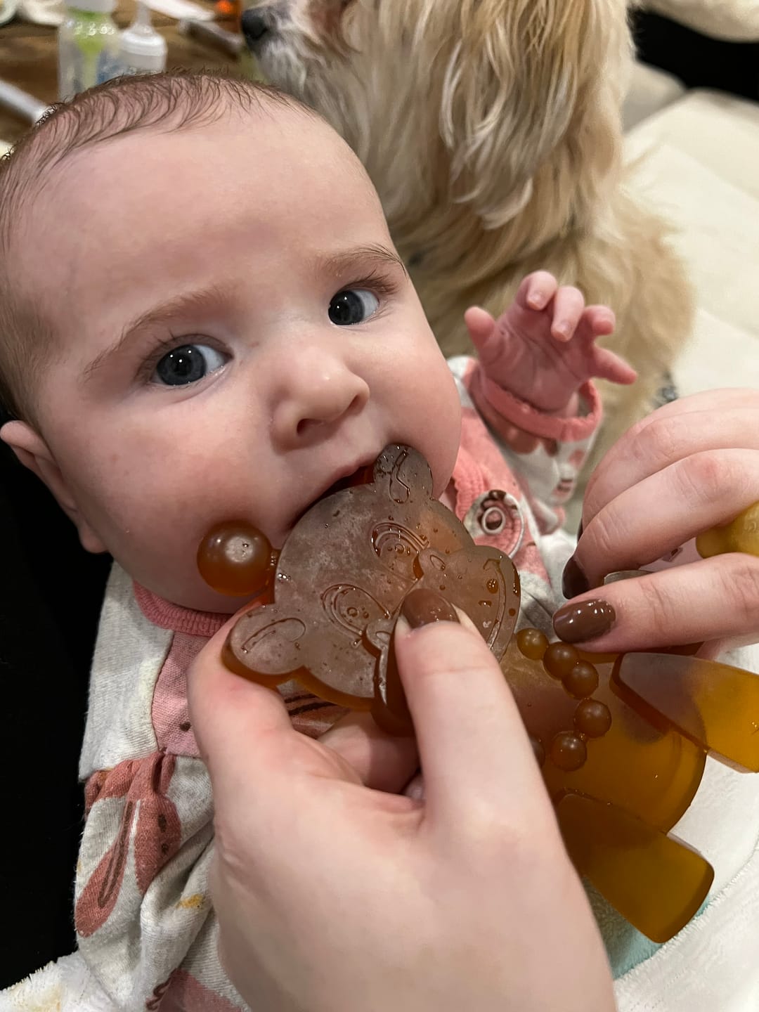 Customer photo review of The Little Bamber - Natural Rubber & Baltic Amber Teething Toy