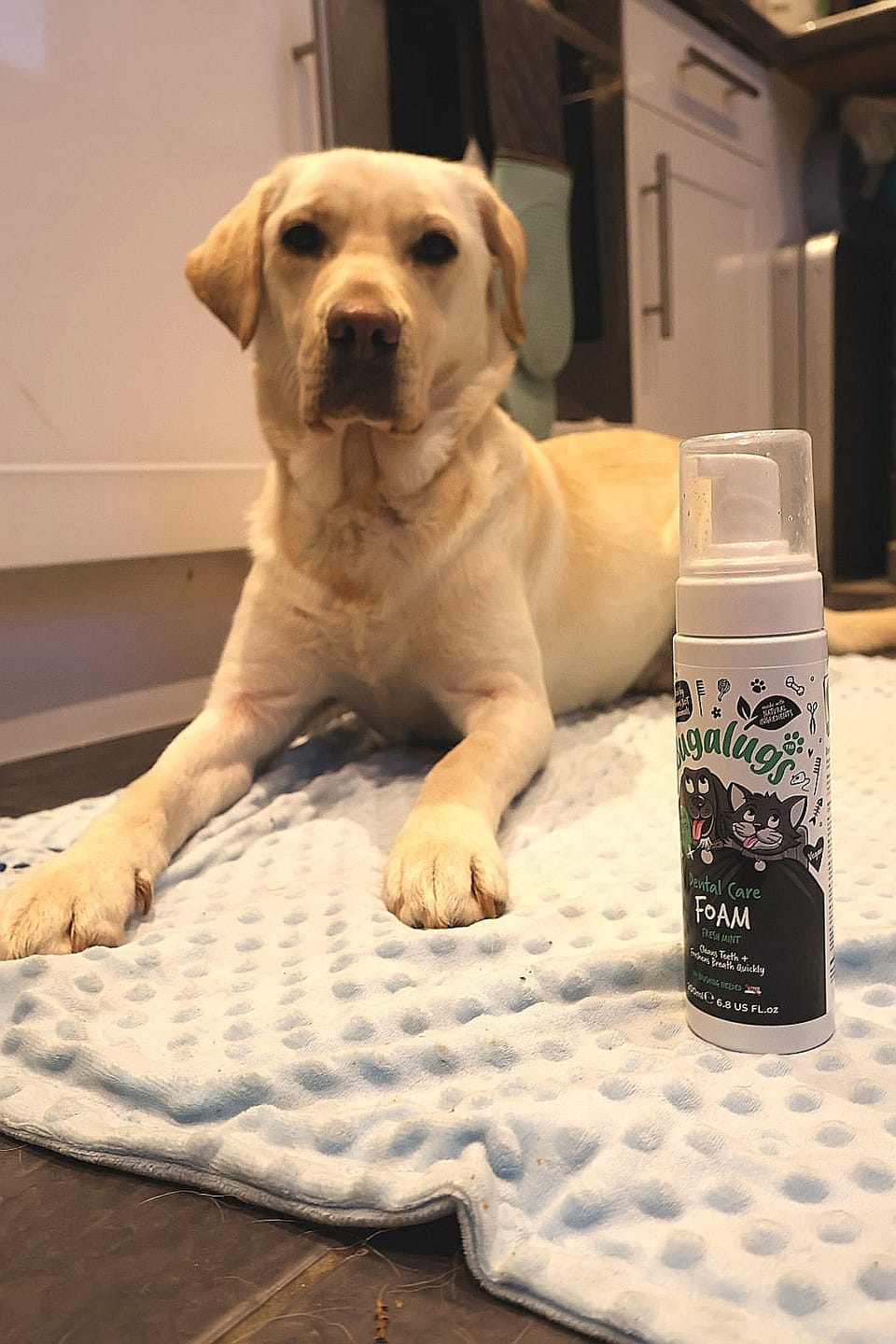 Customer photo review of Dental Care Foam in Fresh Mint for Dogs & Cats