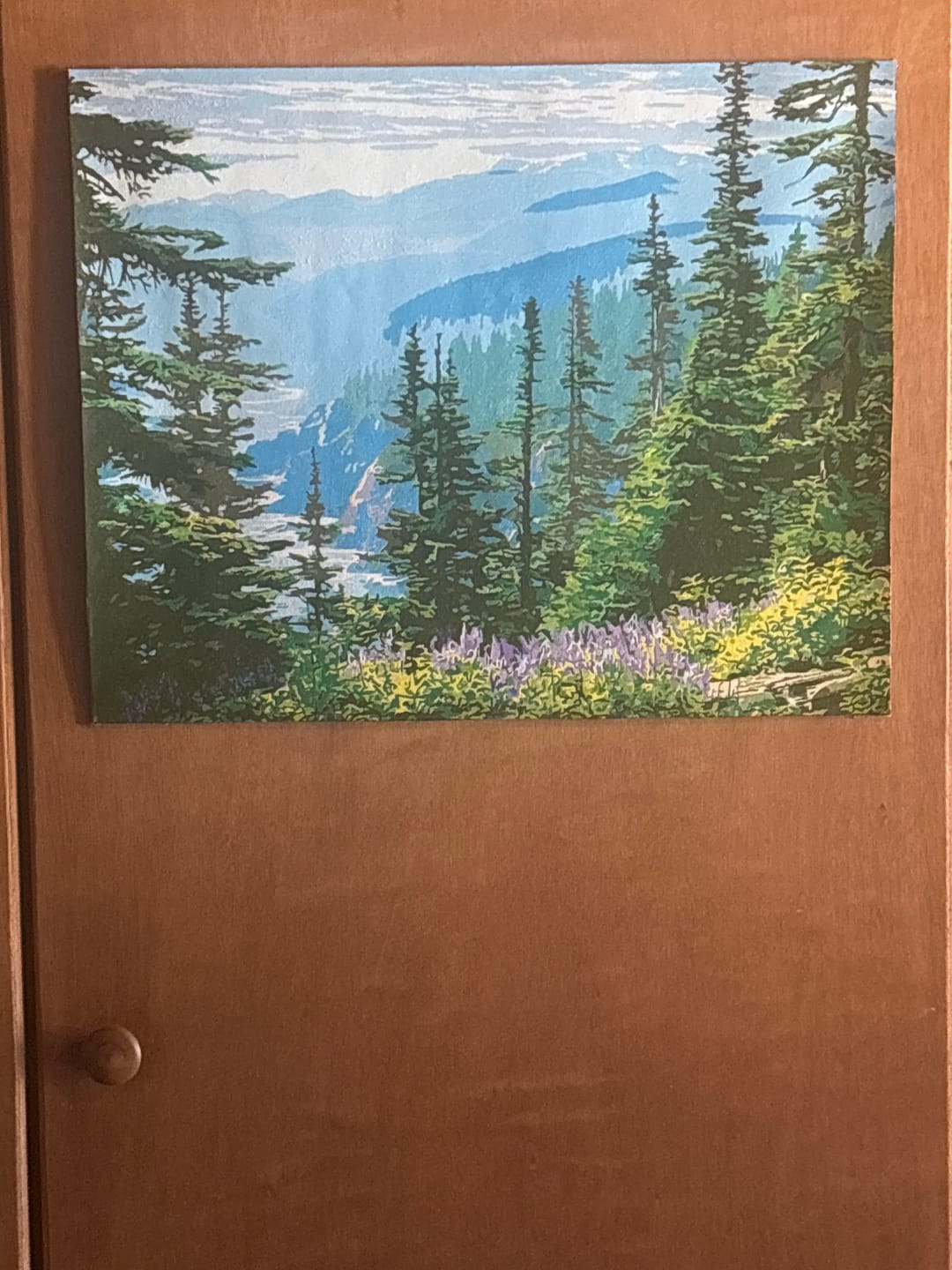Customer photo review of Olympic National Park