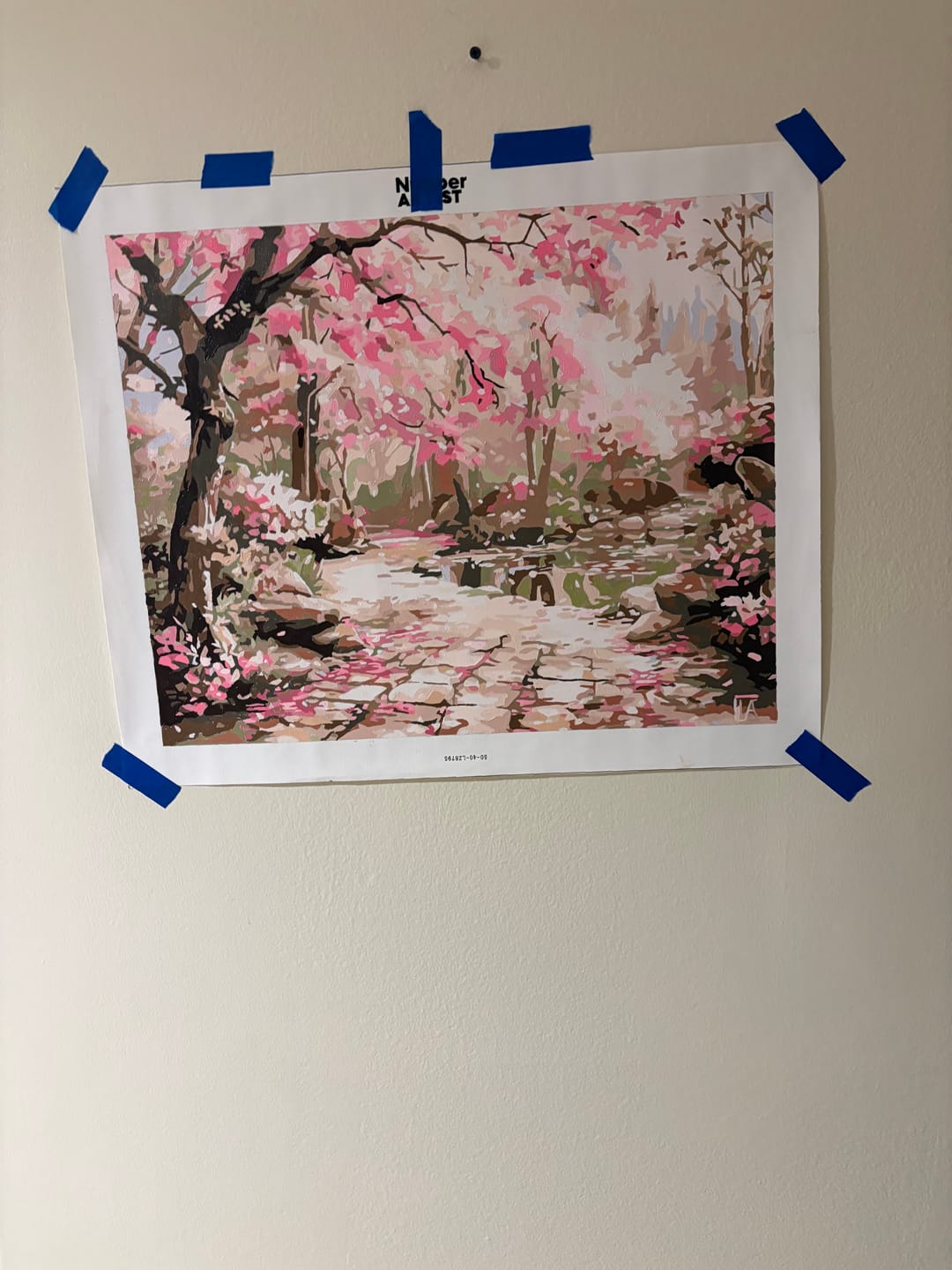 Customer photo review of Serene Sakura Stone Path