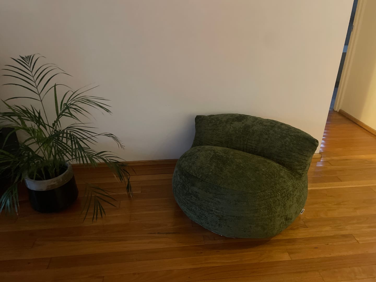 Customer photo review of plumpi