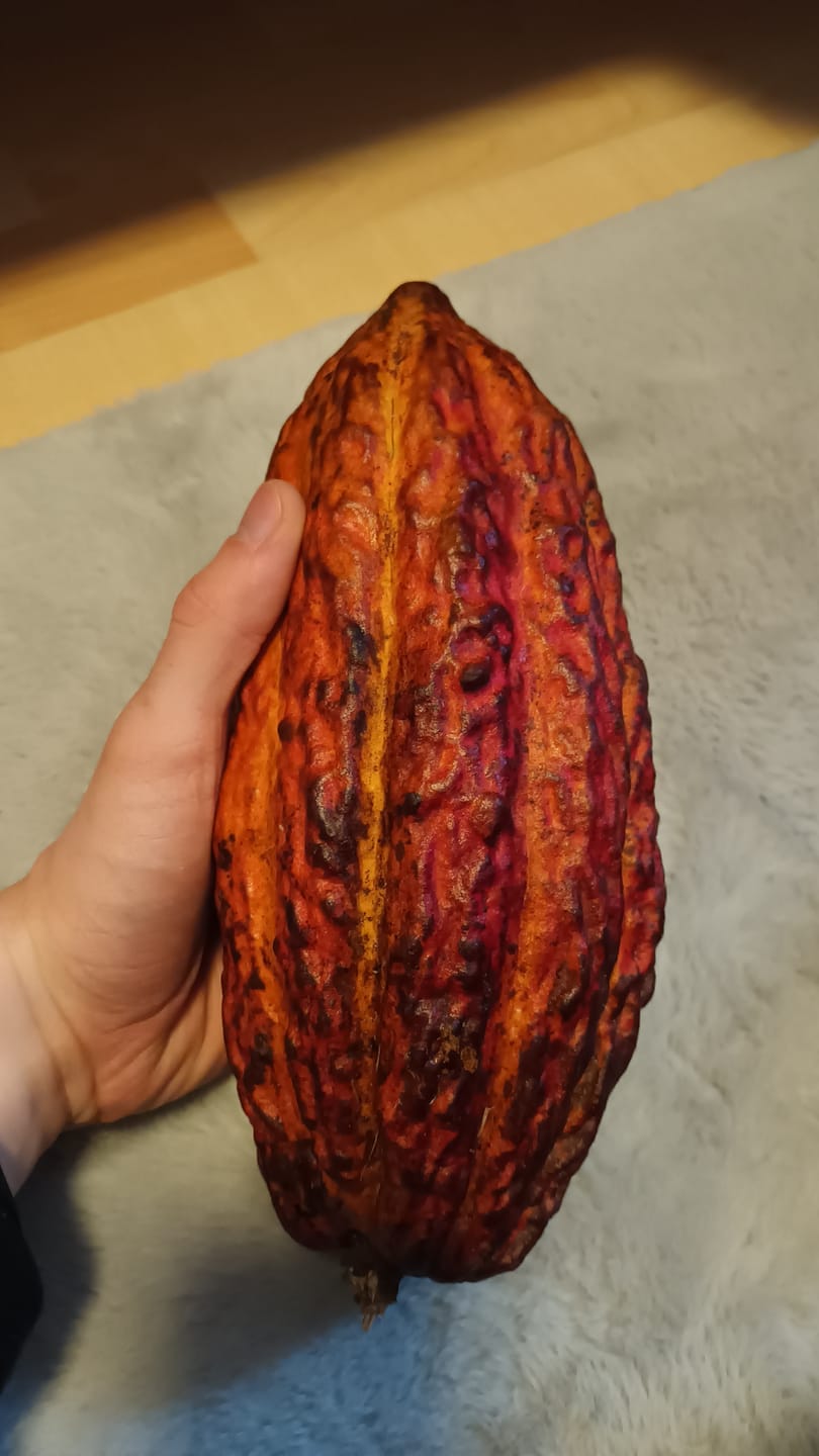 Customer photo review of Kakaofrucht naturbelassen