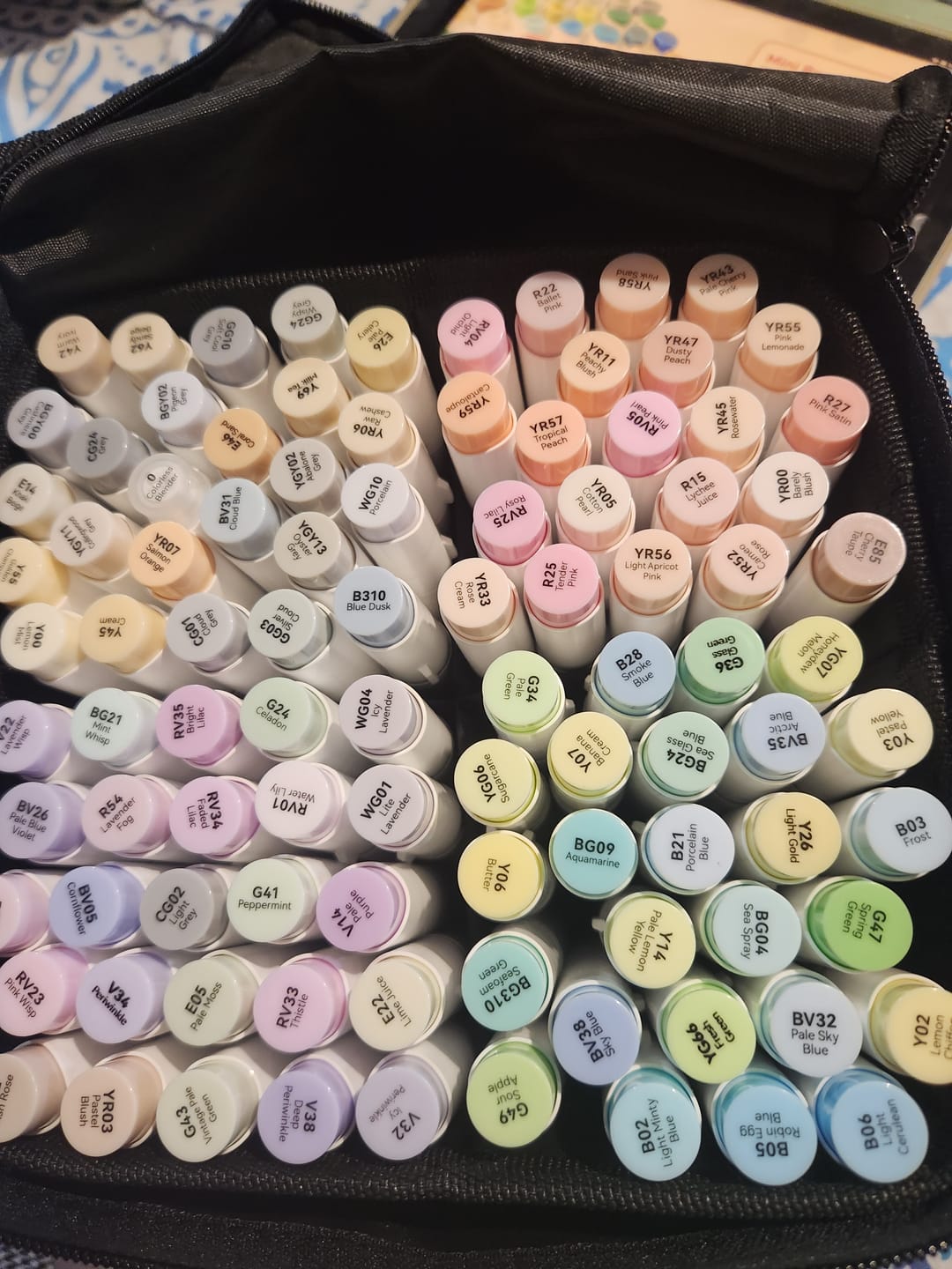 Customer photo review of Ohuhu Honolulu 96 Pastel Colors Alcohol Art Markers - Sweetness & Blossoming (Australia Domestic Shipping)