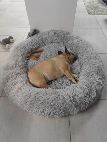 Customer photo review of Puppery Hundebett Wolke 7 - Das Original