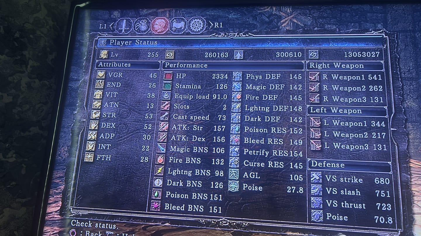 Customer photo review of Dark Souls 2 Items & Souls