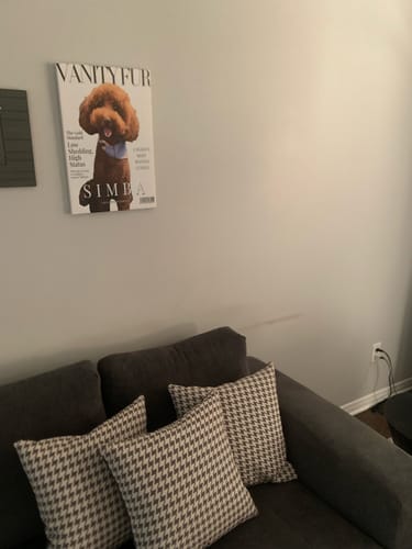 Customer's framed 'Vanity Fur' canvas of their dog Simba hanging on a living room wall above a couch.