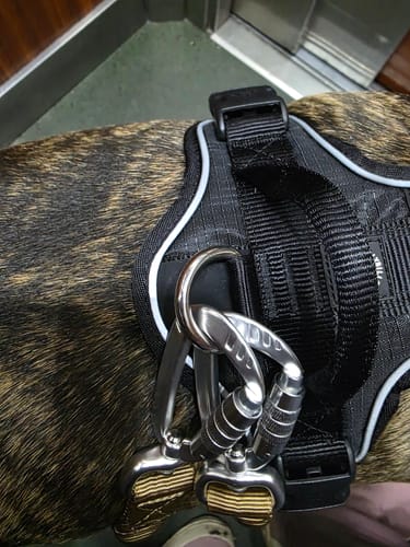 Customer photo review of Anti Pull Hurricane Harness Lighter | With Handle - Black