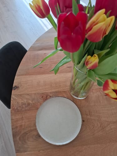 Recensent toont het glanzend beige Loods bord op een houten tafel naast een vaas met tulpen.