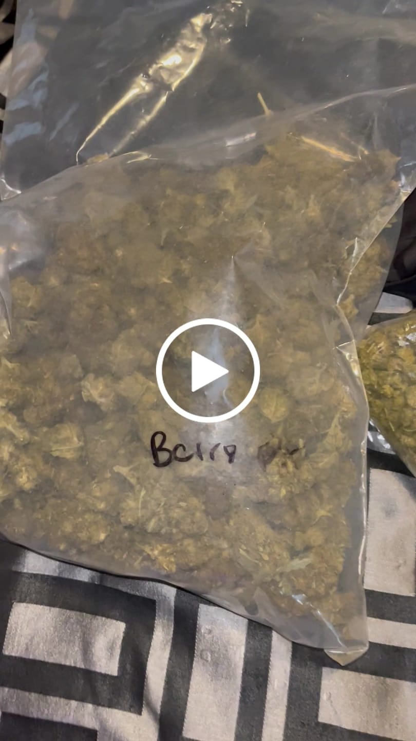 Customer video review of Wedding Crasher THCA Flower LB