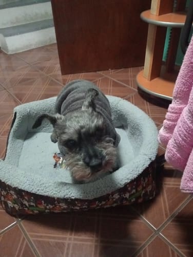 Customer photo review of CT7808 1 Pieza De Casa-Cama