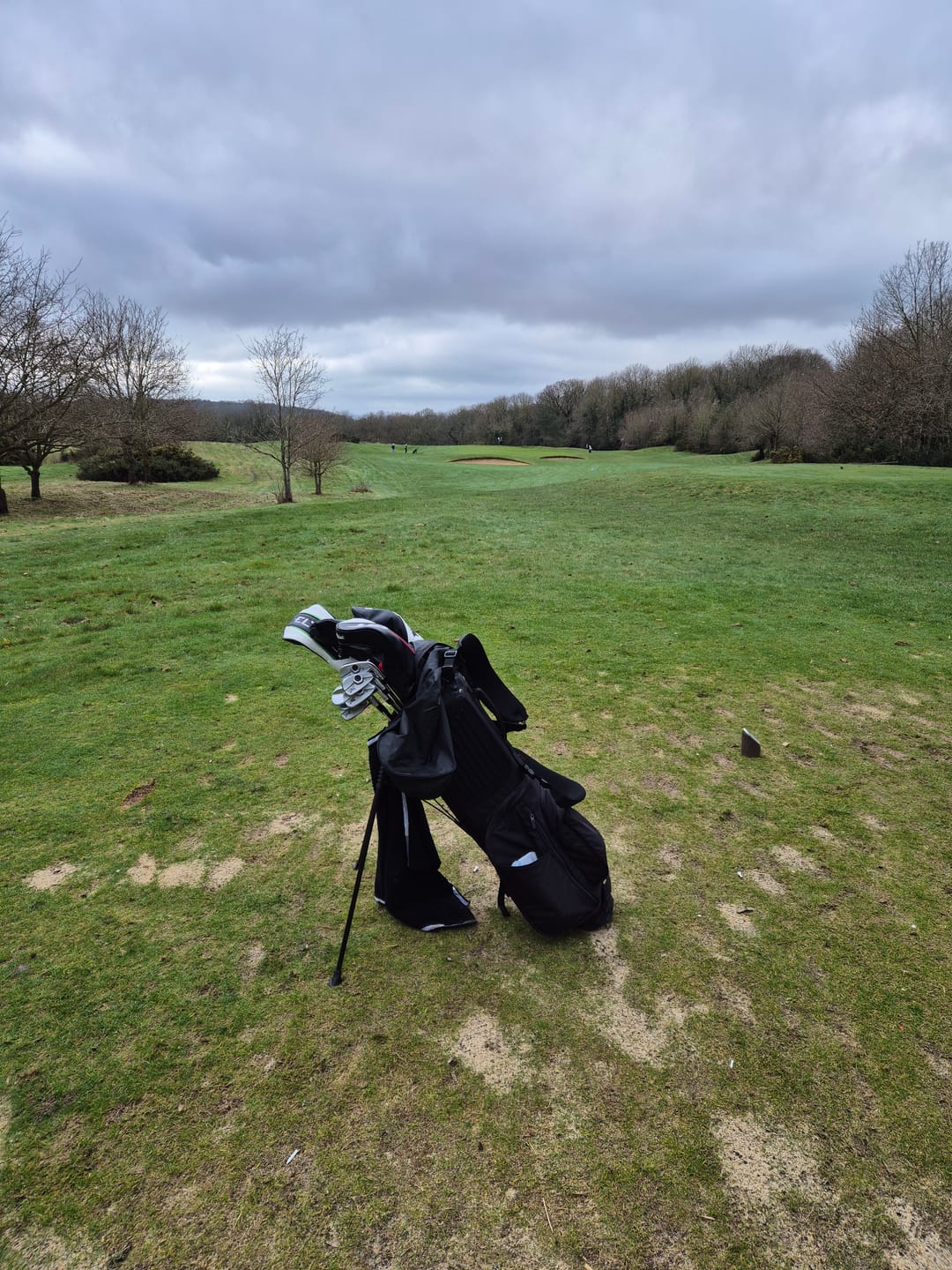Customer photo review of SL2 Air Walker Bag