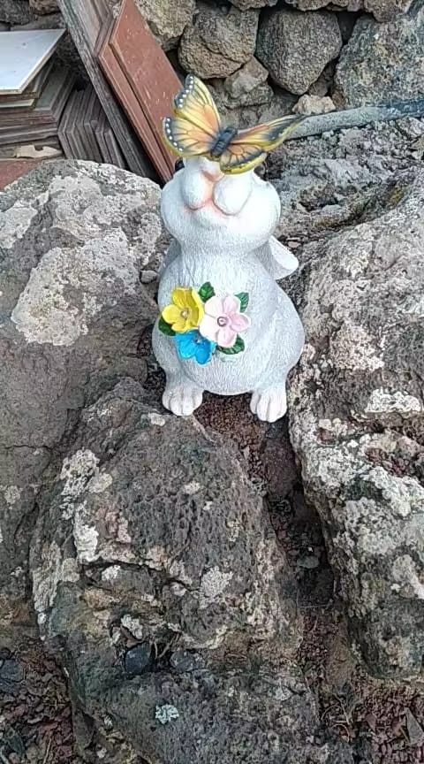 Customer photo review of Solar Bunny Garden Statue – LED Butterfly Resin Decor