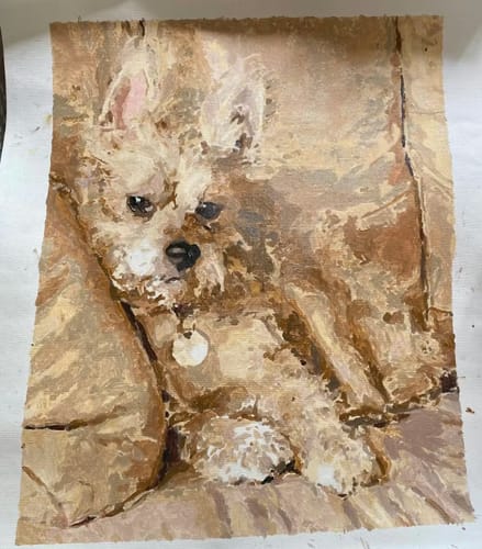 Customer photo review of Custom Pet Paint By Numbers