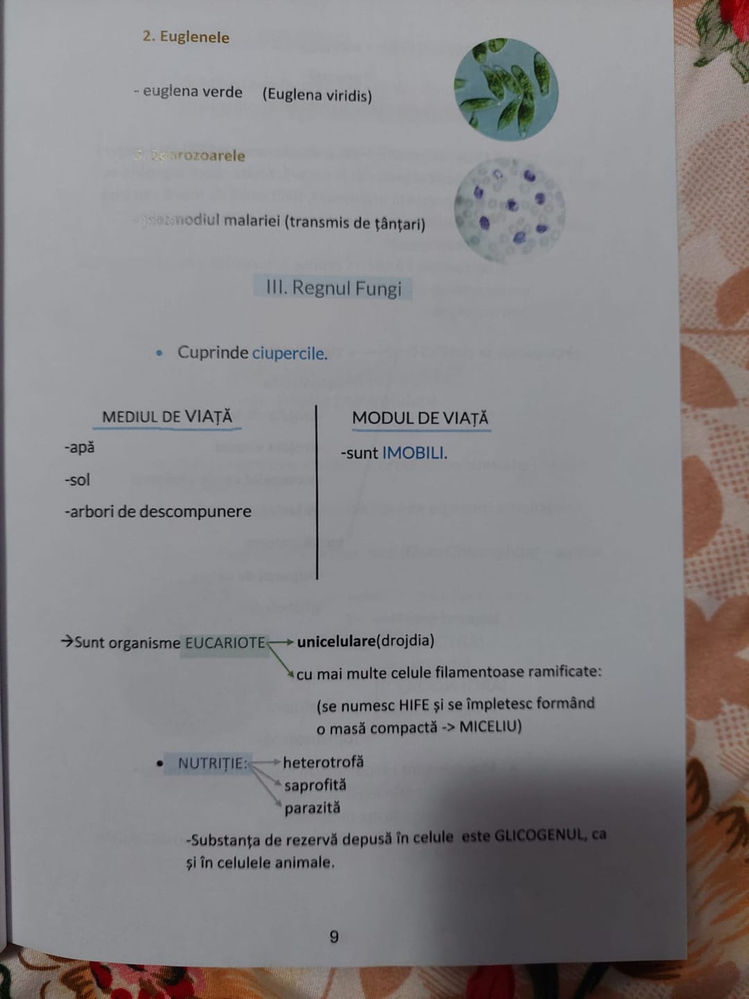 Customer photo review of Carte Biologie Vegetală și Animală Bacalaureat (clasele IX-X) Bacademia