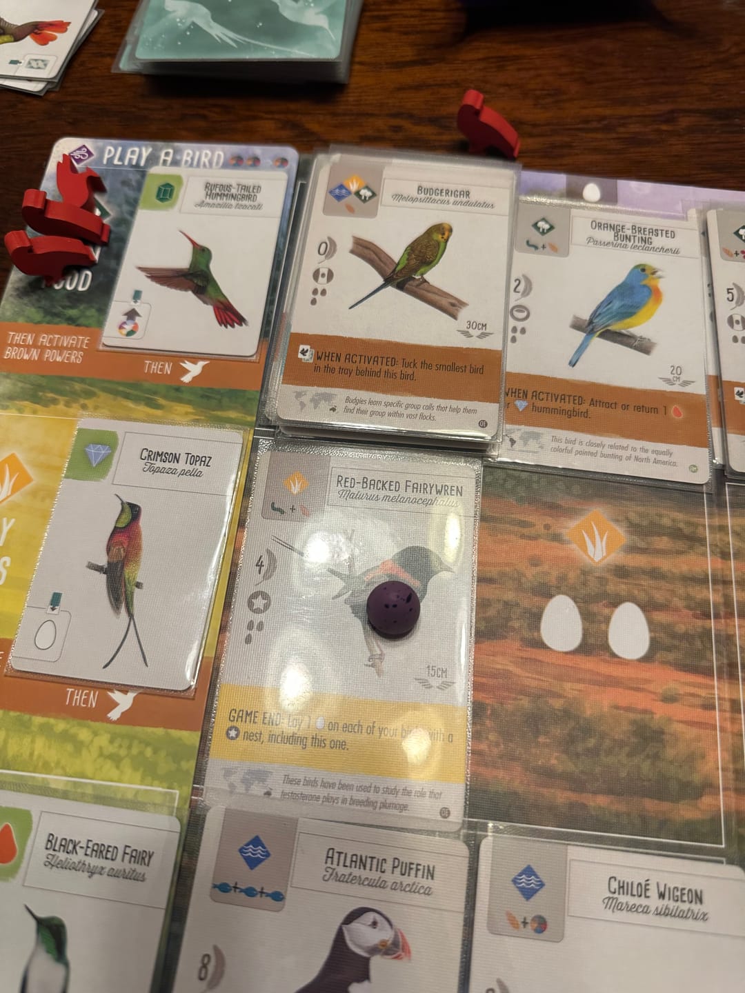 Customer photo review of Wingspan: Americas Expansion Card Sleeve Kit