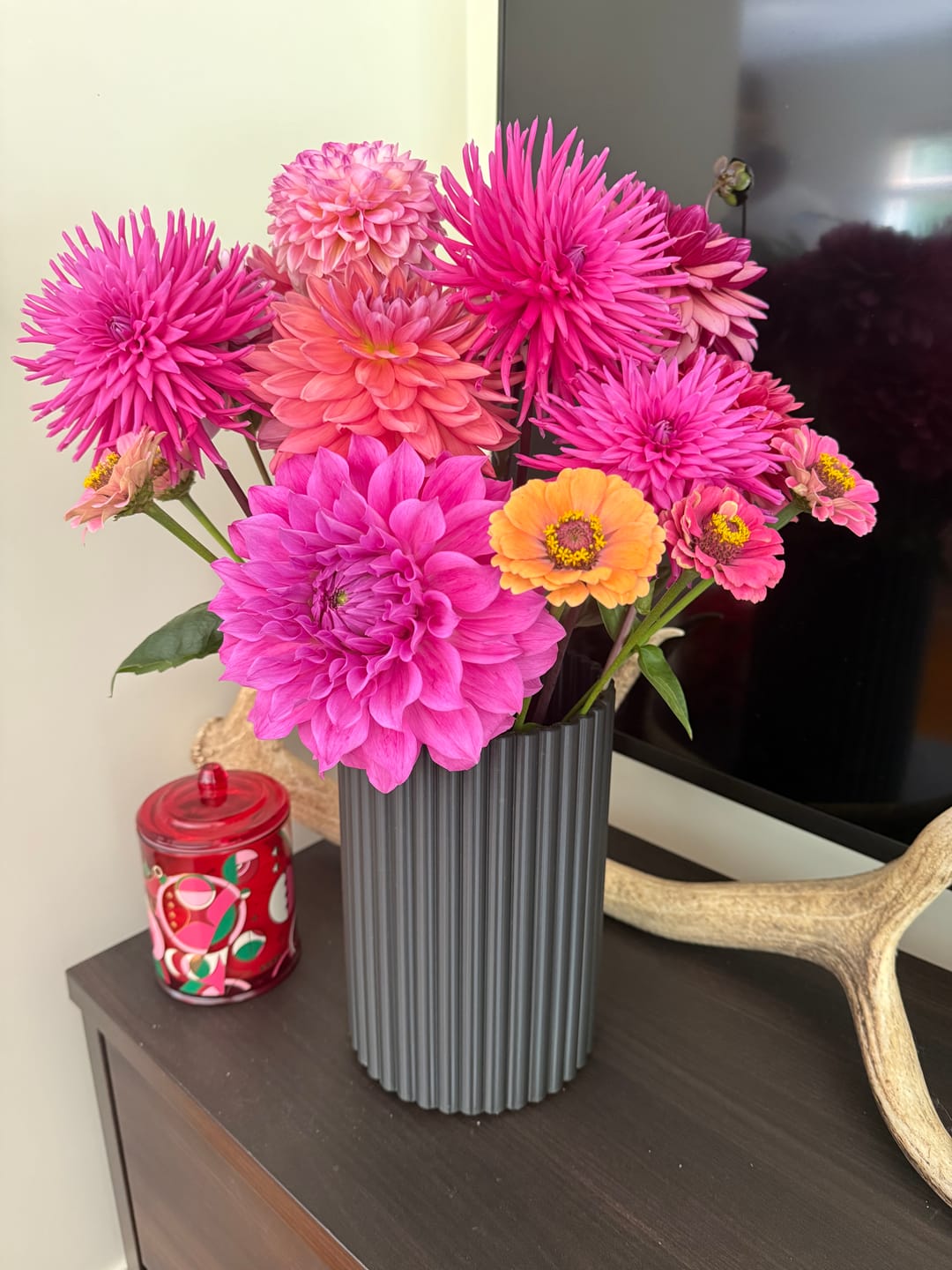 Customer photo review of Frankie XL
