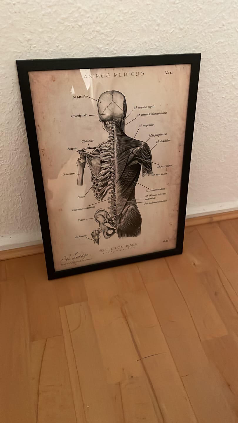 Customer photo review of Rücken Anatomie | Knochen und Muskeln