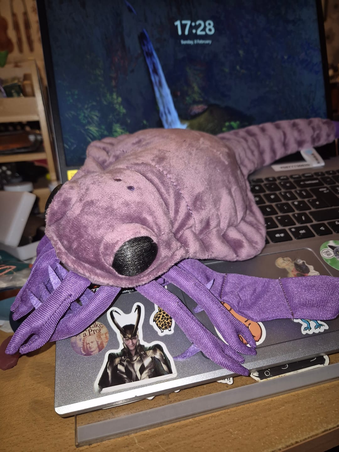Customer photo review of Carcinosoma Soft Stuffed Plush Toy