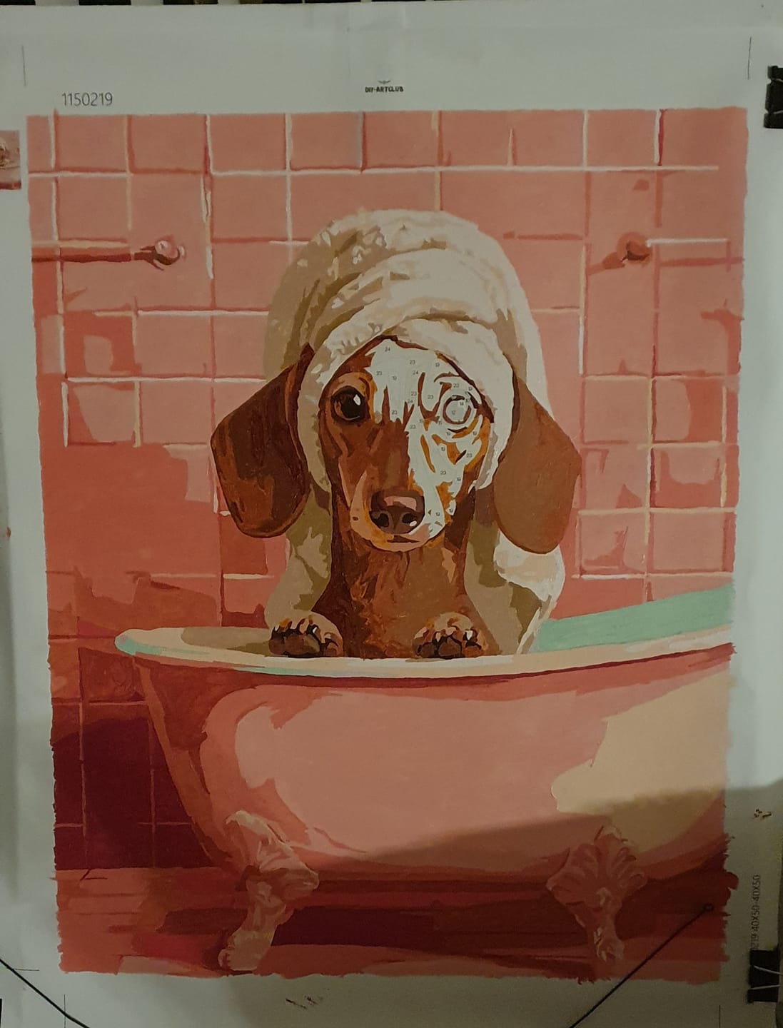 Customer photo review of Dachshund in bath | Paint by Number