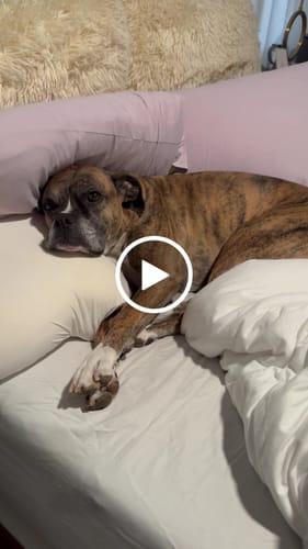 Customer video review of Mellow CloudAlign™ Pillow