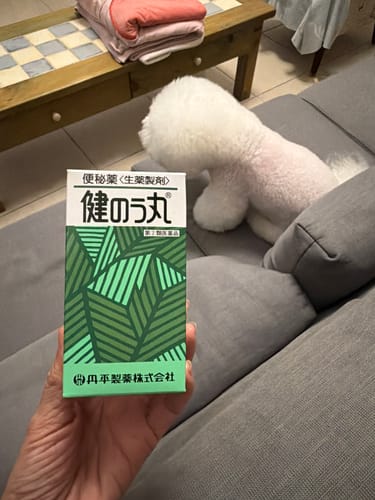 Customer photo review of 丹平製薬 健のう丸 健王丸便秘藥 1200錠【指定第2類醫藥品】