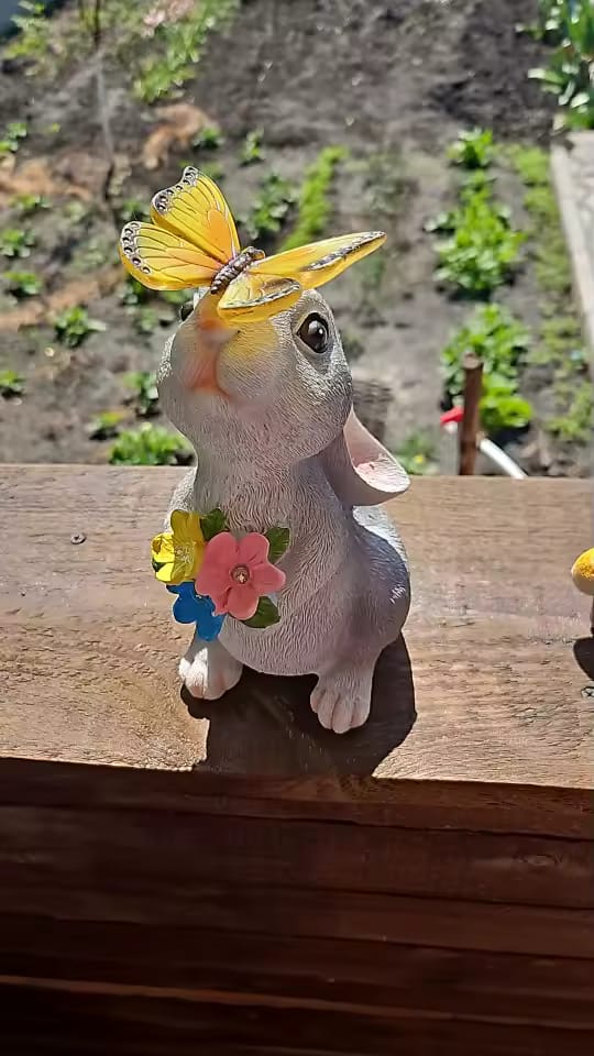Customer photo review of Solar Bunny Garden Statue – LED Butterfly Resin Decor