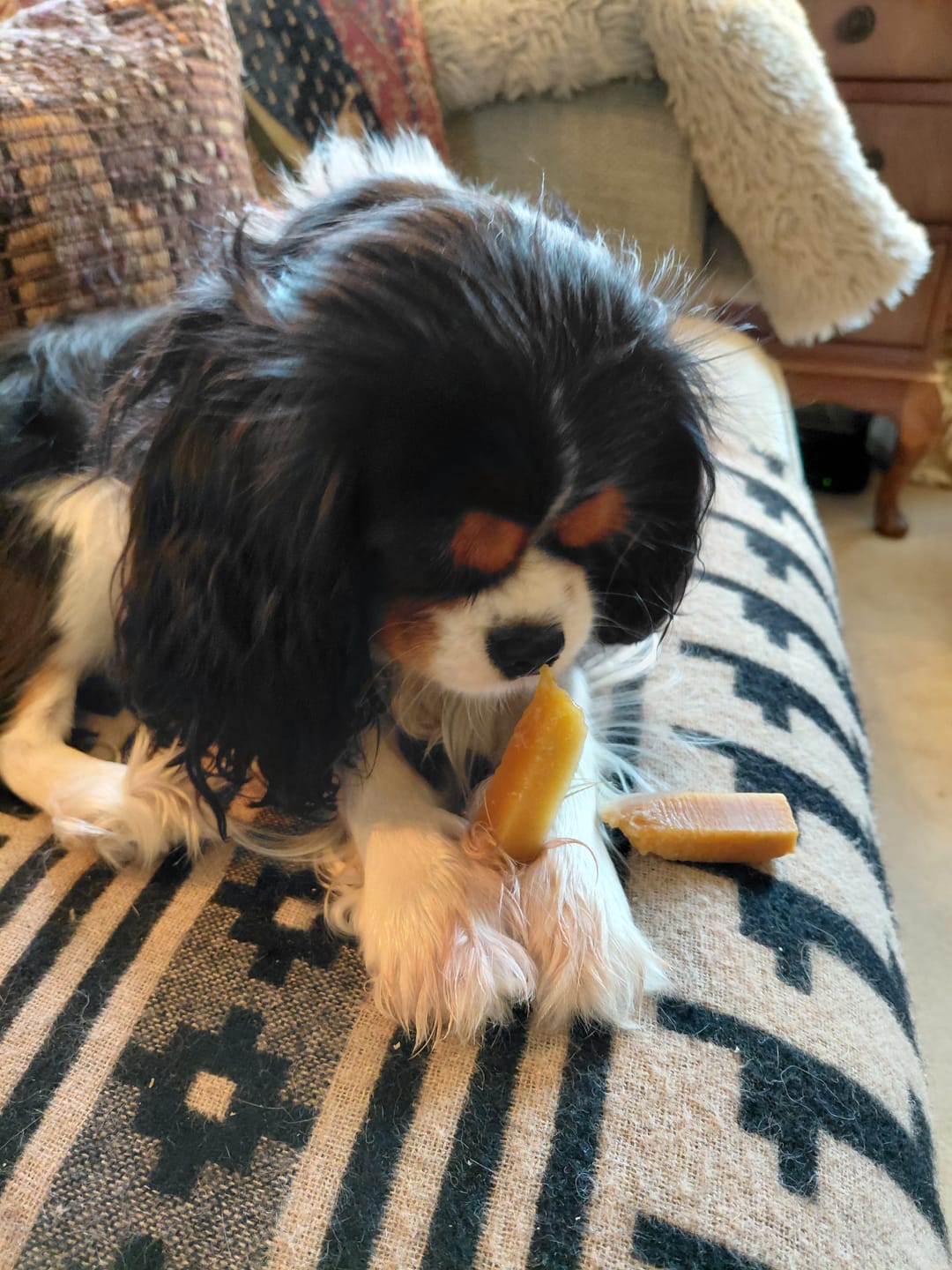 Customer photo review of Himalyan yak chew (MEDIUM)