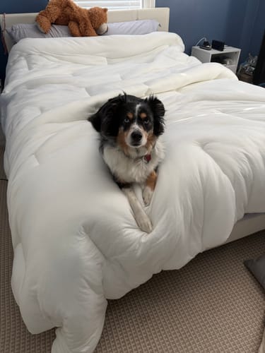 Customer photo review of MarshMellow Comforter